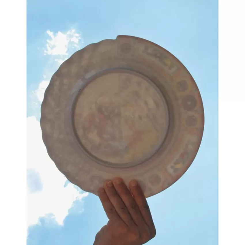 zenobia tazza da te hybrid seletti 03