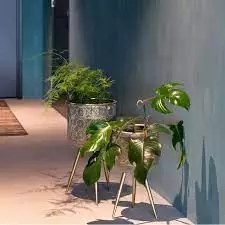 Botanique Plant Stand - porta vaso - Dutchbone - immagine 4